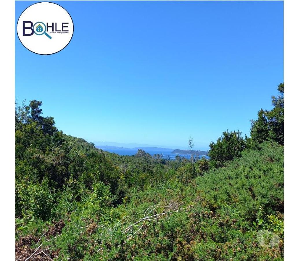 Parcelas en Venta Llanquihue Puerto Montt - Fotos de VENDO - Terreno de 2.35 Ha en ILQUE