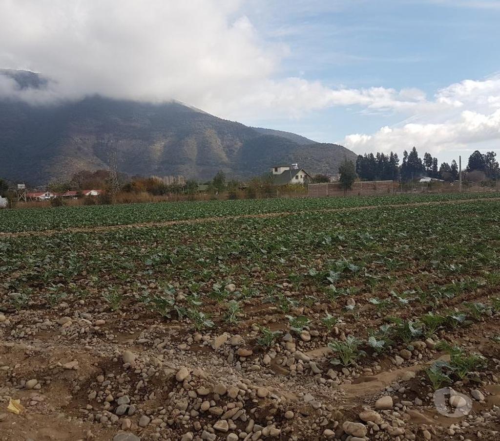 Bienes Raices Maipo Paine - Fotos de Venta Parcela 4,59 hectáreas, Águila Norte.