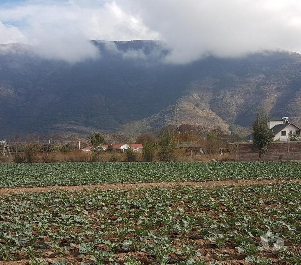 Bienes Raices Maipo Paine - Fotos de Venta Parcela 4,59 hectáreas, Águila Norte.
