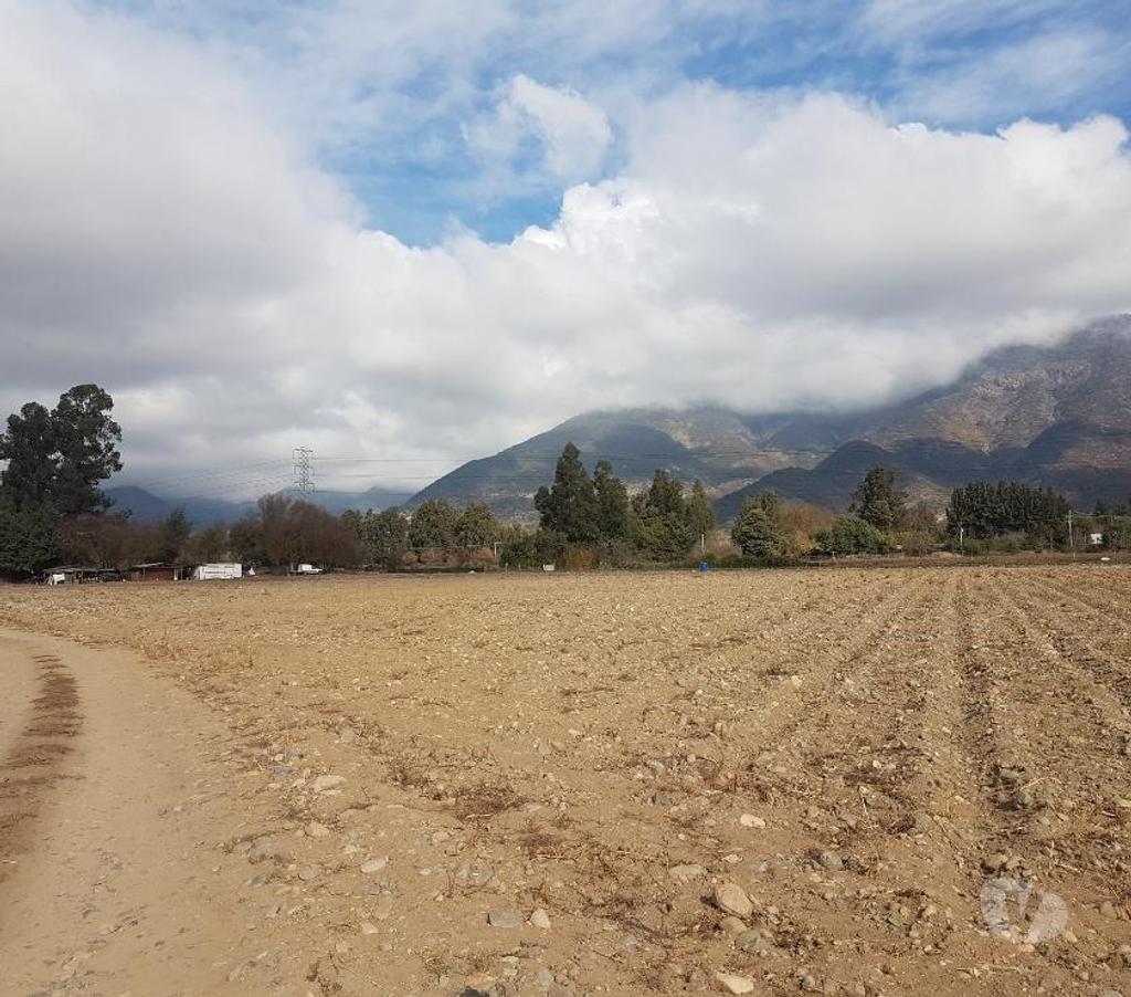 Bienes Raices Maipo Paine - Fotos de Venta Parcela 4,59 hectáreas, Águila Norte.
