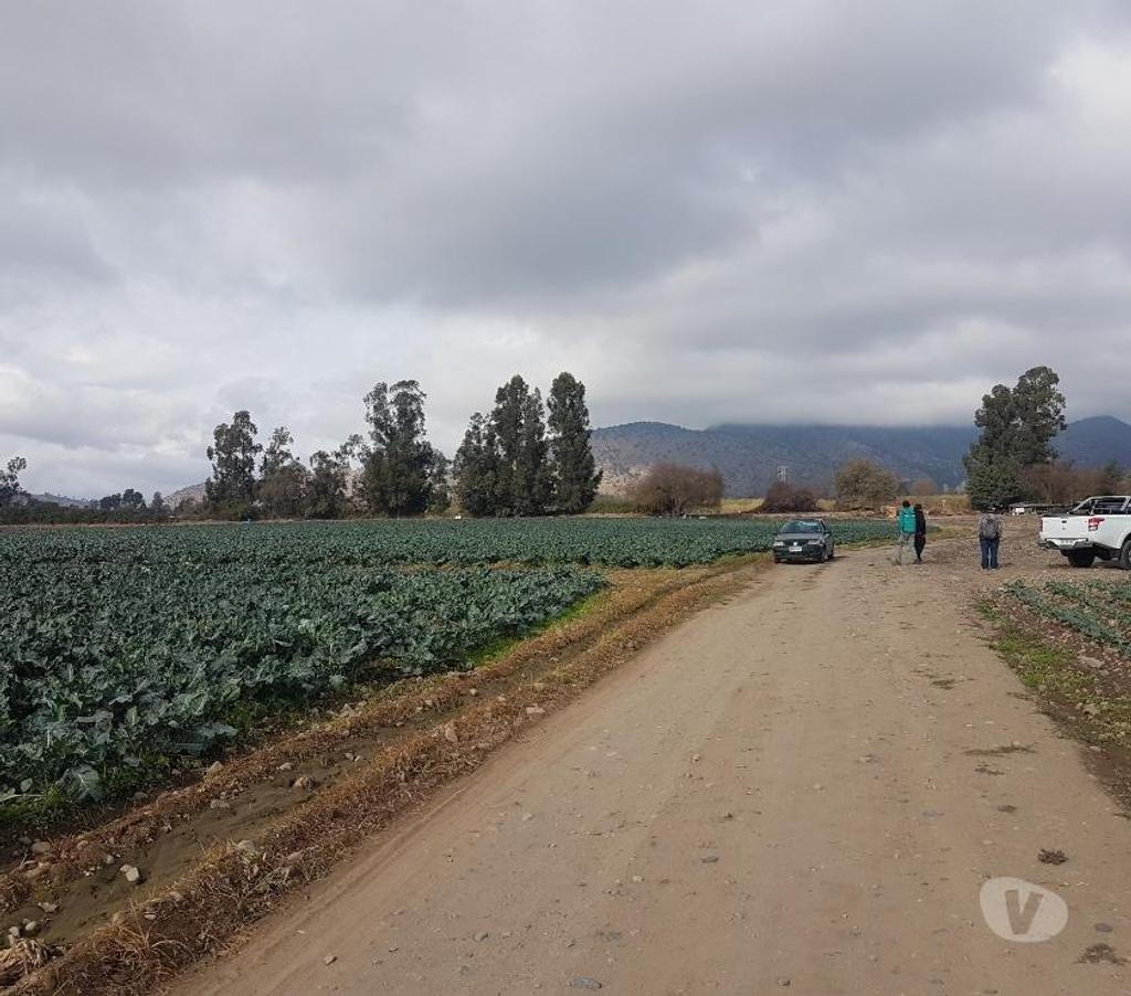 Bienes Raices Maipo Paine - Fotos de Venta Parcela 4,59 hectáreas, Águila Norte.