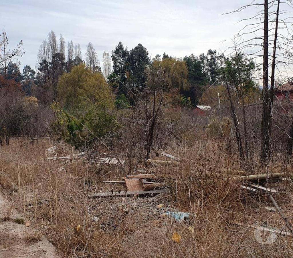 Bienes Raices Maipo Buin - Fotos de Sitio urbano de 26.000 m2 en Buin.