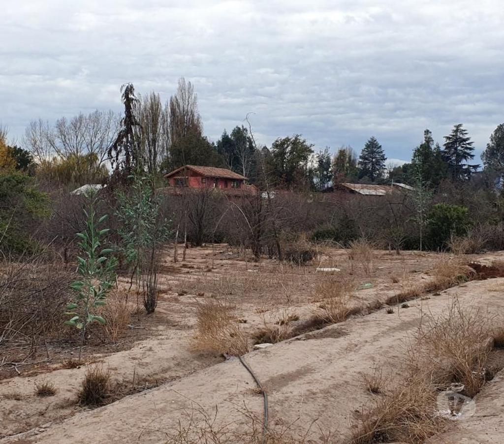Bienes Raices Maipo Buin - Fotos de Sitio urbano de 26.000 m2 en Buin.