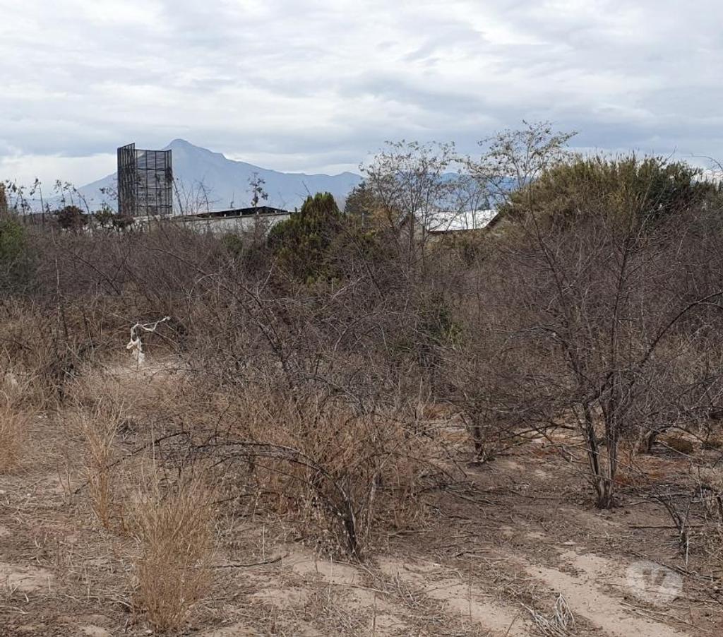 Bienes Raices Maipo Buin - Fotos de Sitio urbano de 26.000 m2 en Buin.
