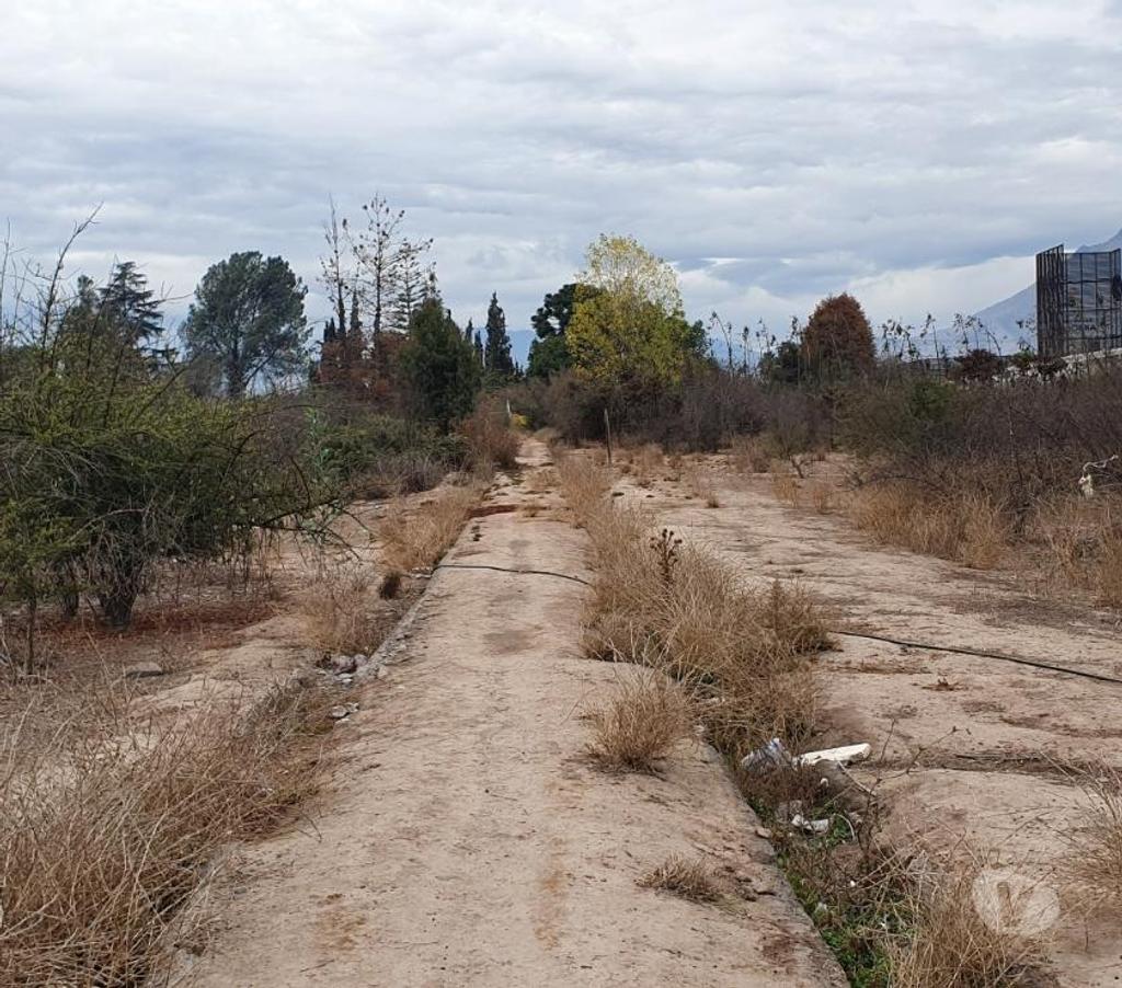 Bienes Raices Maipo Buin - Fotos de Sitio urbano de 26.000 m2 en Buin.