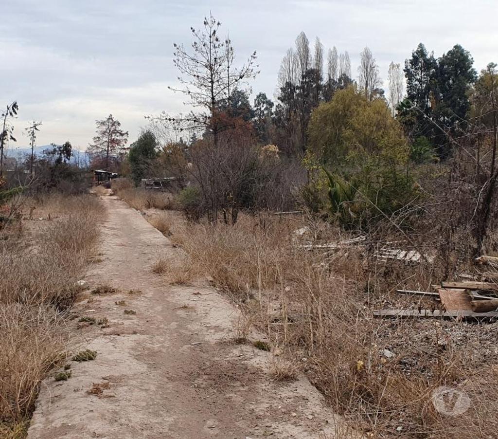 Bienes Raices Maipo Buin - Fotos de Sitio urbano de 26.000 m2 en Buin.