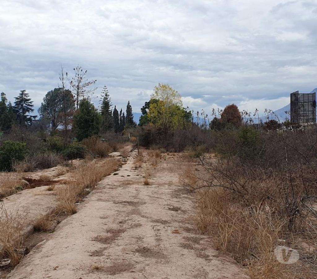 Bienes Raices Maipo Buin - Fotos de Sitio urbano de 26.000 m2 en Buin.