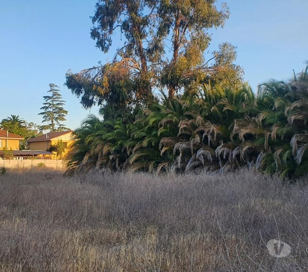 Bienes Raices Maipo Buin - Fotos de Buin Maipo, venta terreno urbano de 3.200 m2