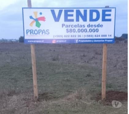 Parcelas en Venta Chillán Ñuble - Fotos de Coihueco: parcelas de 5.000 m2.
