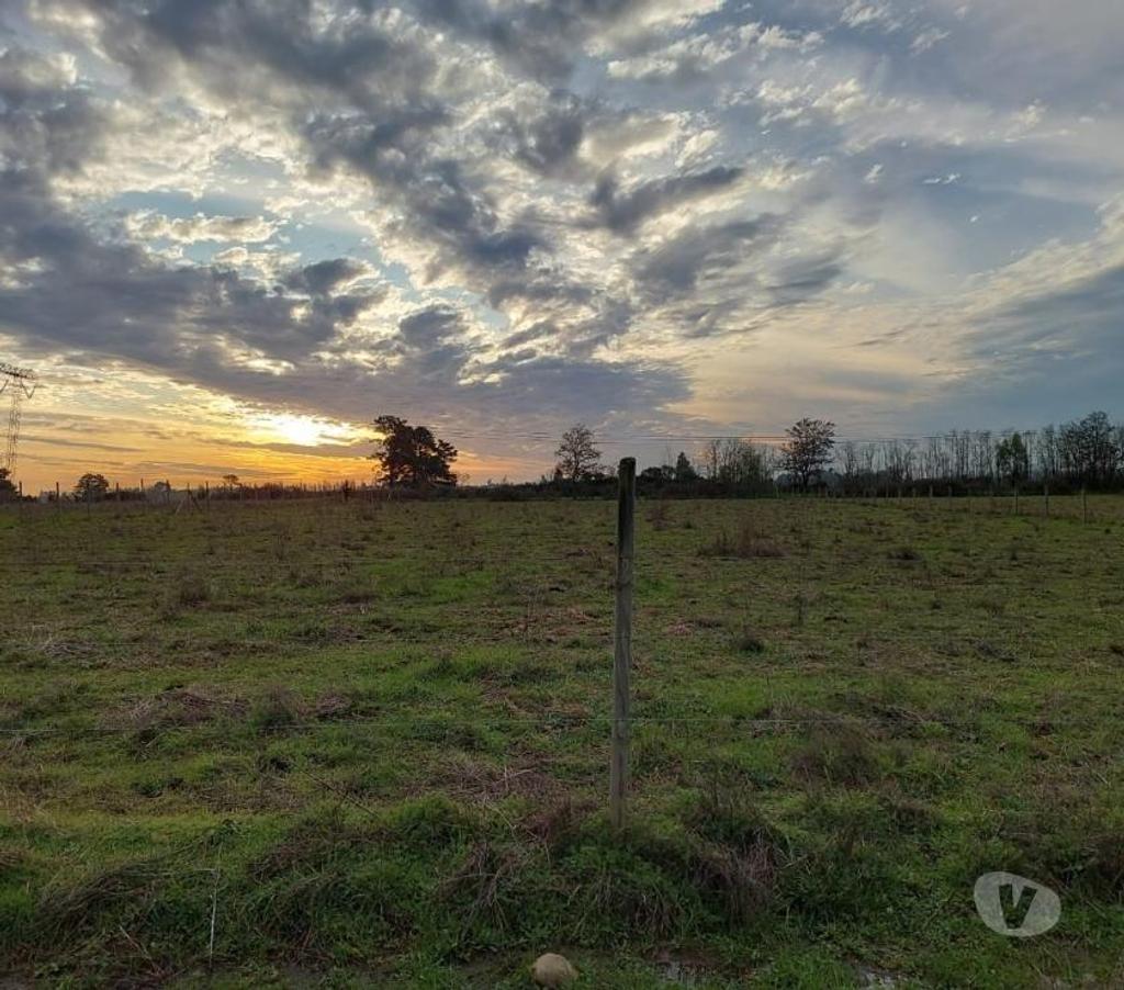 Parcelas en Venta Ñuble Coihueco - Fotos de Coihueco: km 12 interior, se venden parcelas de 5000 m2.