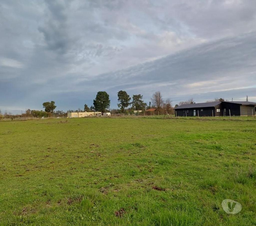 Parcelas en Venta Ñuble Coihueco - Fotos de Coihueco: km 12 interior, se venden parcelas de 5000 m2.