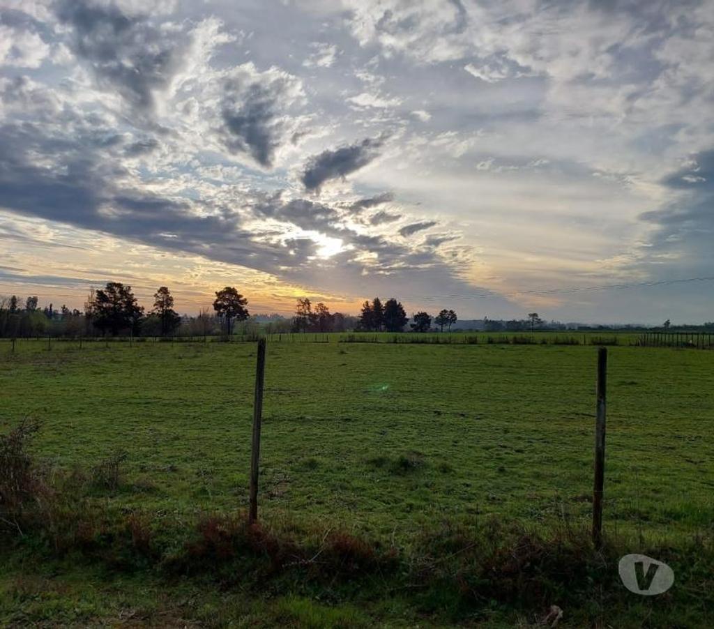 Parcelas en Venta Ñuble Coihueco - Fotos de Coihueco: km 12 interior, se venden parcelas de 5000 m2.