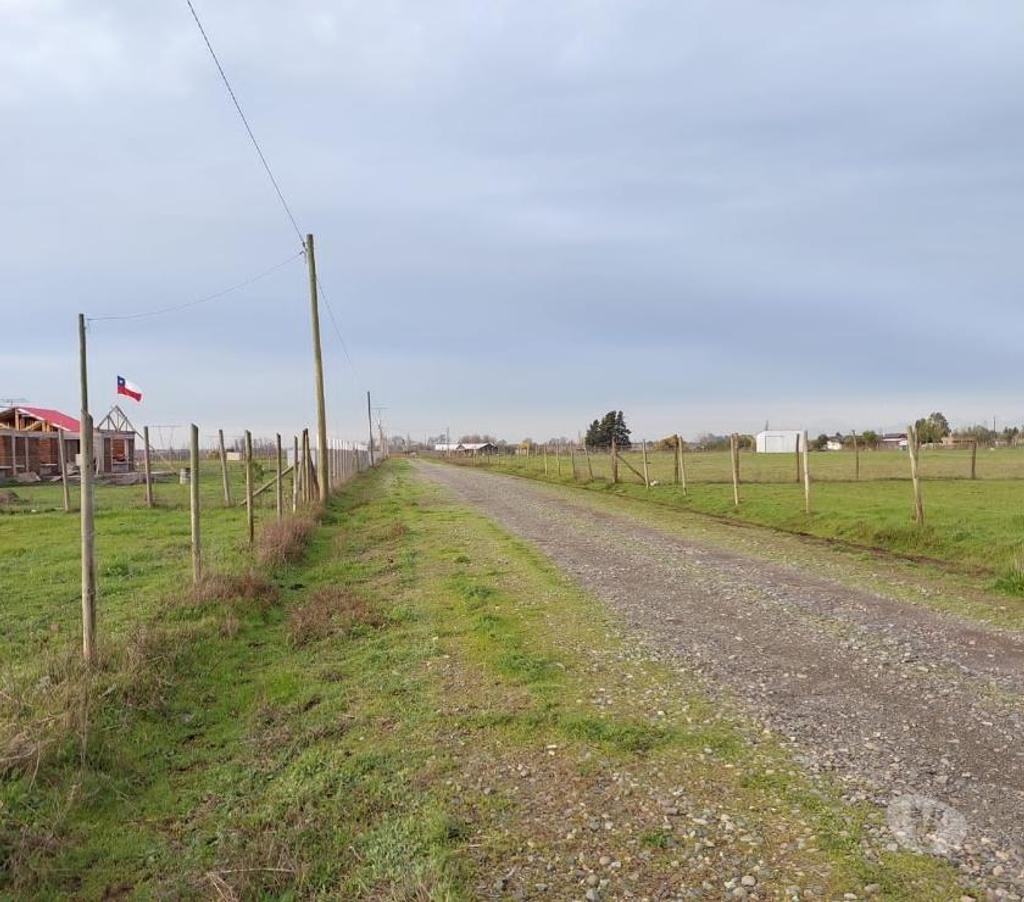 Parcelas en Venta Ñuble Coihueco - Fotos de Coihueco: km 12 interior, se venden parcelas de 5000 m2.