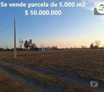 Fotos de Se vende parcela de 5.000 m2, camino a Coihueco km. 7.