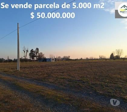 Terrenos-Parcelas Coihueco Ñuble - Fotos de Se vende parcela de 5.000 m2, camino a Coihueco km. 7.