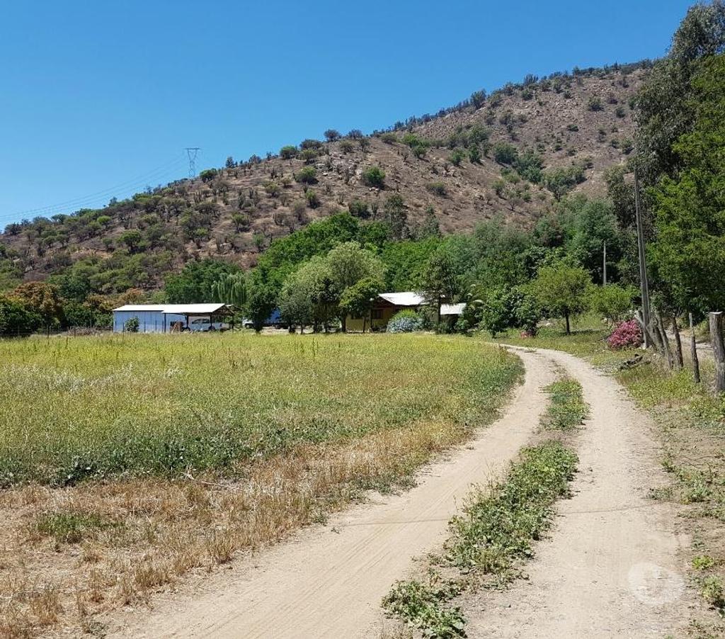 Bienes Raices Maipo Paine - Fotos de Sitio con casa en Aguila Sur, Comuna de Paine.