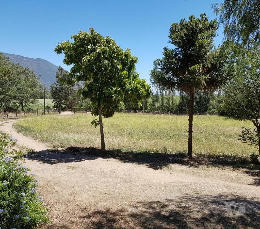 Bienes Raices Maipo Paine - Fotos de Sitio con casa en Aguila Sur, Comuna de Paine.
