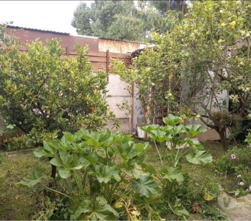Bienes Raices Maipo Paine - Fotos de Paine Central Oriente.