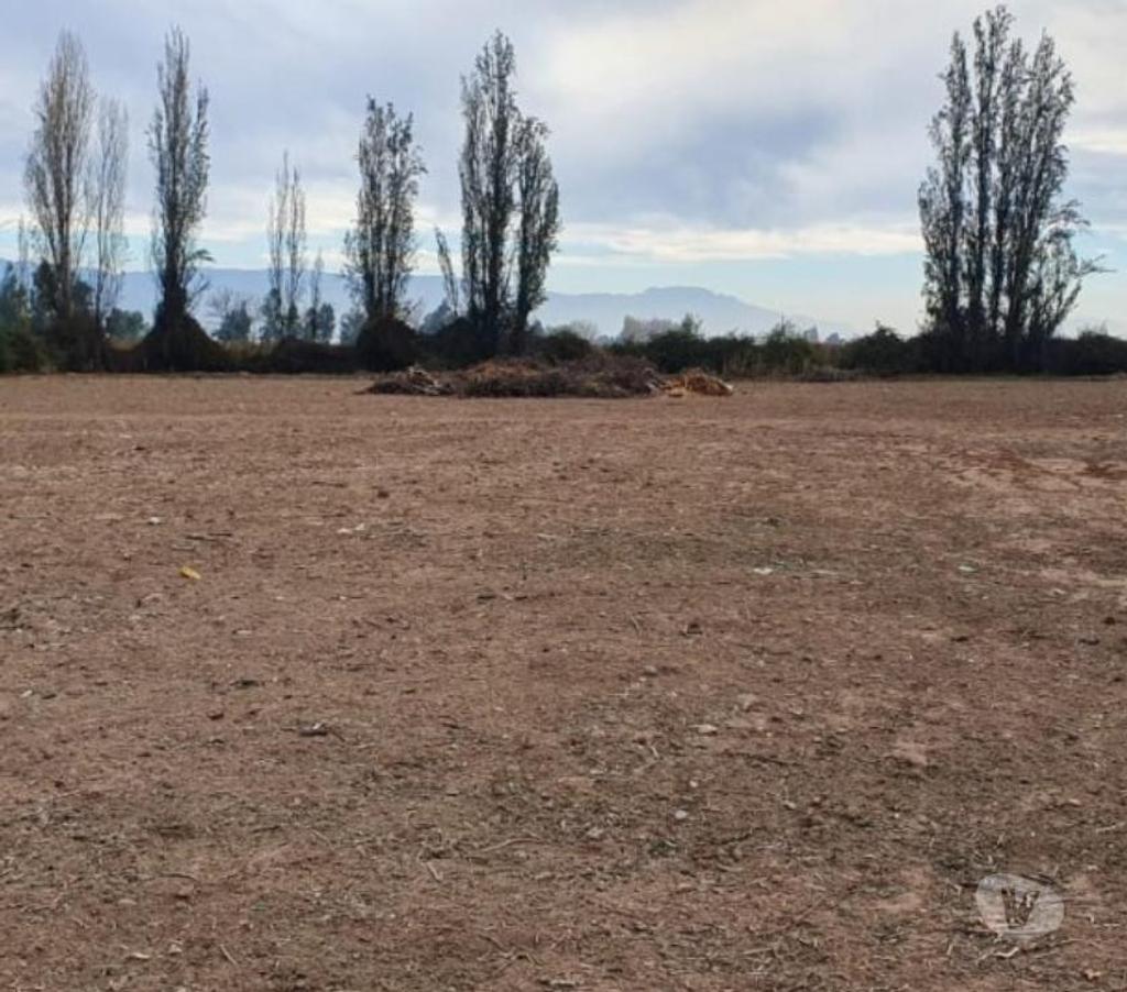 Bienes Raices Maipo Paine - Fotos de Paine-Camino Padre Hurtado, 15.700 m2 aproximados.