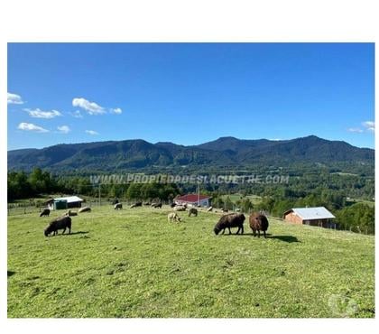 Bienes Raices Villarrica Cautín - Fotos de 566- Se vende parcela con vista al Volcán