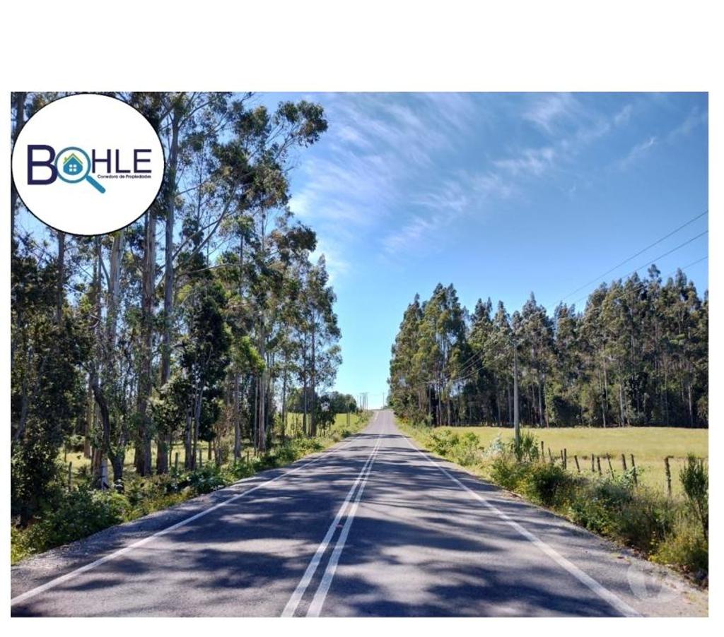 Parcelas en Venta Llanquihue Puerto Varas - Fotos de VENDO - Parcela 9800m2 cerca de Colonia Tres Puentes