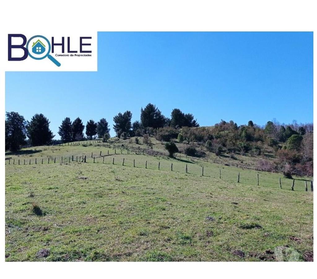Parcelas en Venta Ranco Futrano - Fotos de PARCELAS EN FUTRONO