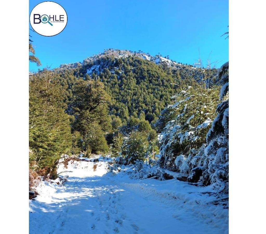 Parcelas en Venta Cautín Melipueco - Fotos de PARCELACION SANTA NORMA MELIPEUCO
