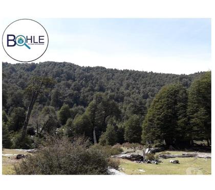 Terrenos en Venta Melipueco Cautín - Fotos de PARCELACION SANTA NORMA MELIPEUCO