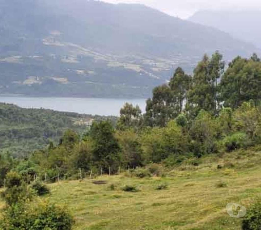 Bienes Raices Llanquihue Puerto Varas - Fotos de Venta por motivos médicos. Campo de 2,66 hectáreas
