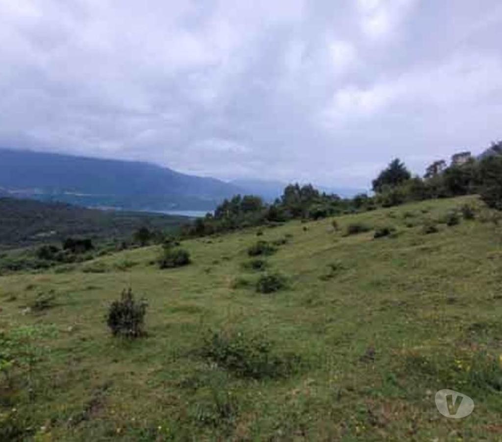 Bienes Raices Llanquihue Puerto Varas - Fotos de Venta por motivos médicos. Campo de 2,66 hectáreas