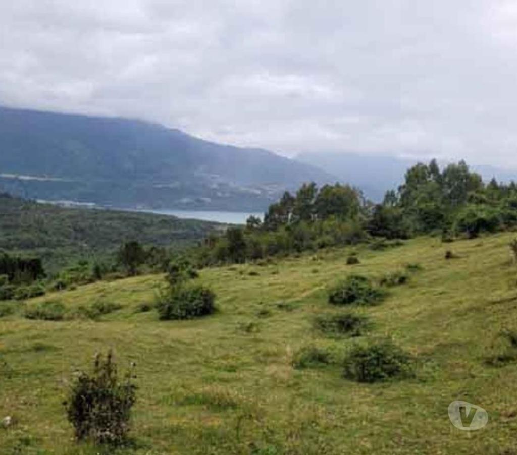 Bienes Raices Llanquihue Puerto Varas - Fotos de Venta por motivos médicos. Campo de 2,66 hectáreas