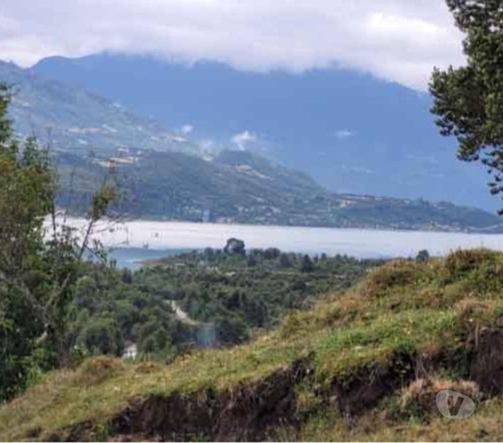 Bienes Raices Llanquihue Puerto Varas - Fotos de Venta por motivos médicos. Campo de 2,66 hectáreas