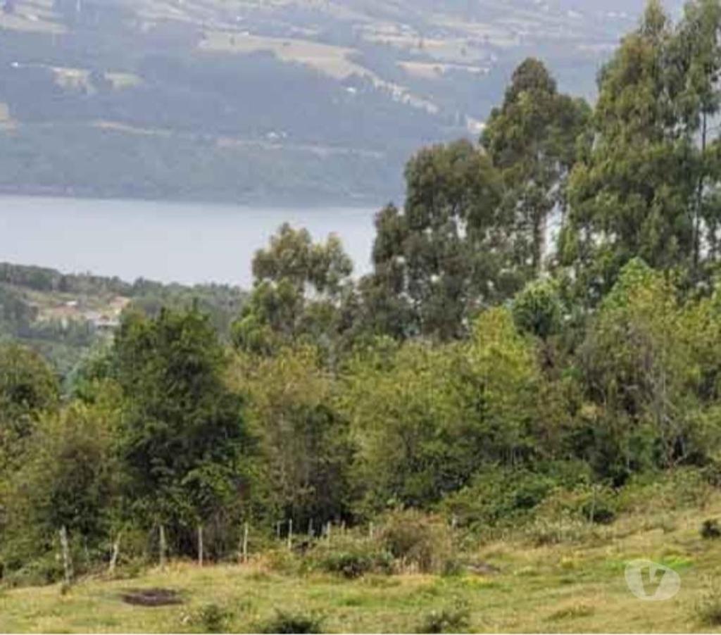Bienes Raices Llanquihue Puerto Varas - Fotos de Venta por motivos médicos. Campo de 2,66 hectáreas