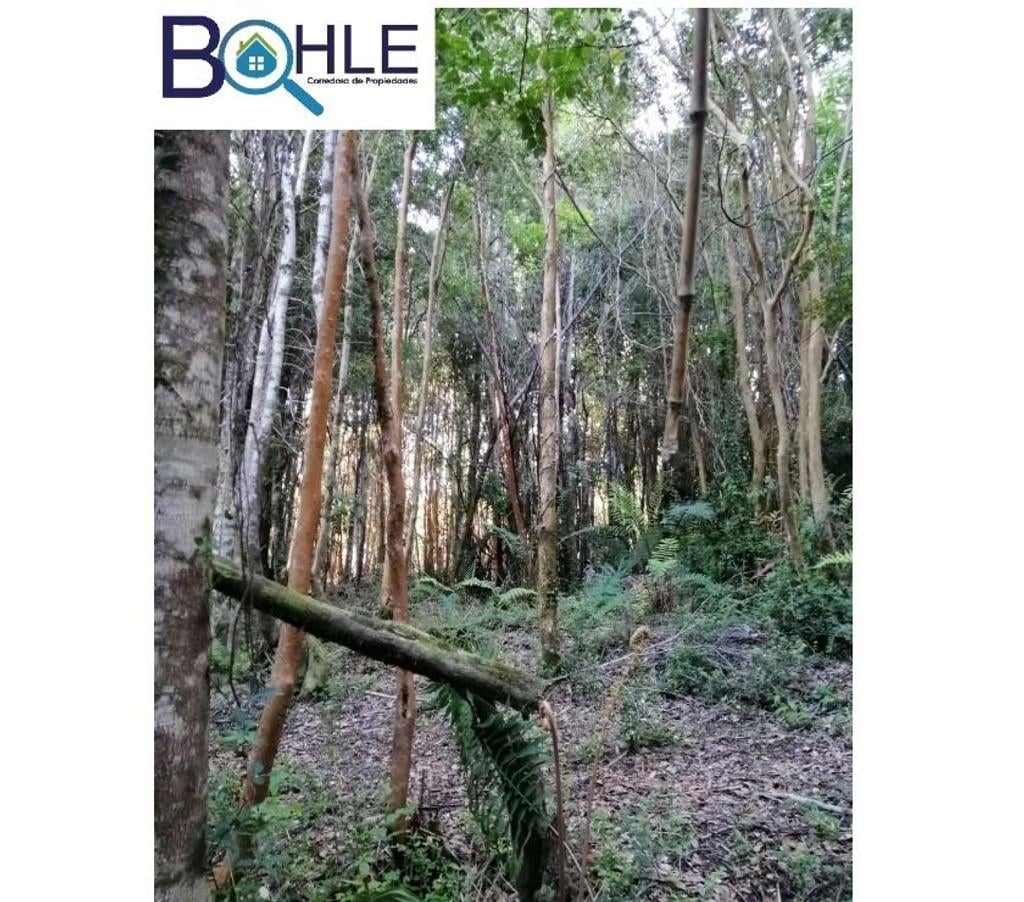 Parcelas en Venta Llanquihue Puerto Varas - Fotos de PARCELAS EN RIO TEPÚ - CAMINO A ENSENADA