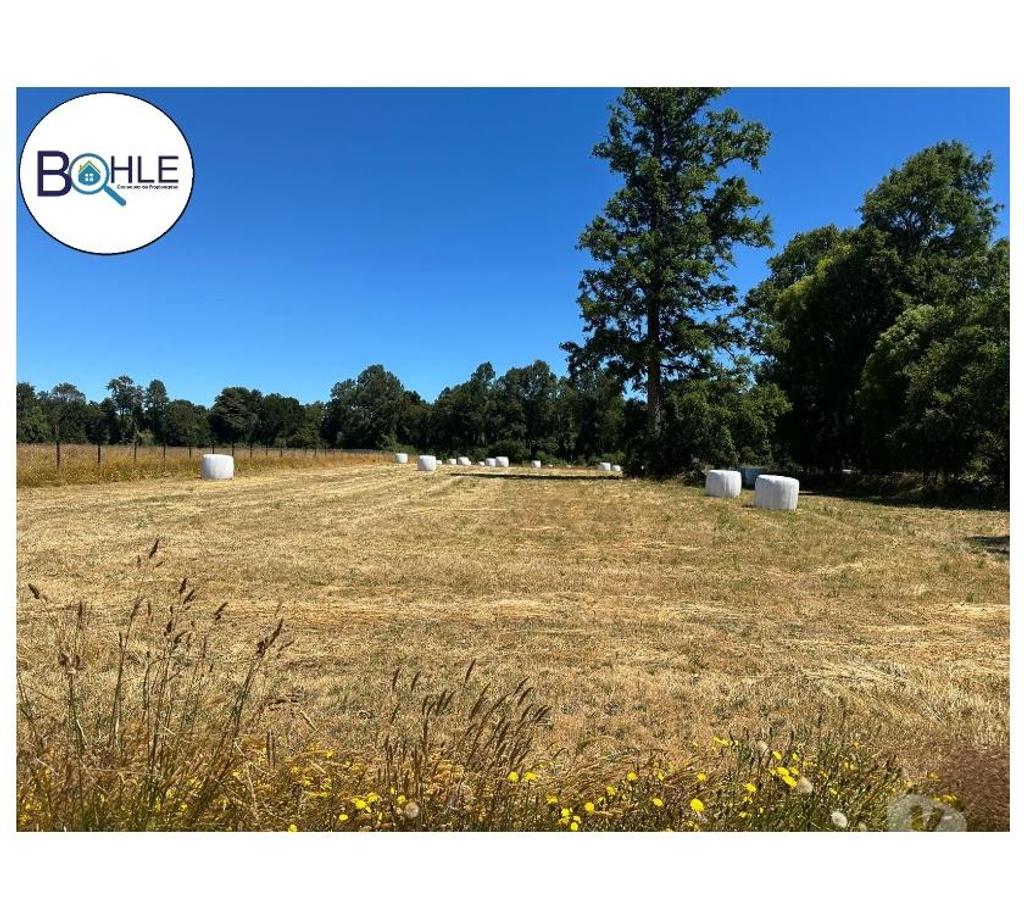 Parcelas en Venta Llanquihue Frutillar - Fotos de PARCELA DENTRO DE PARCELACIÓN UBICADA EN FRUTILLAR