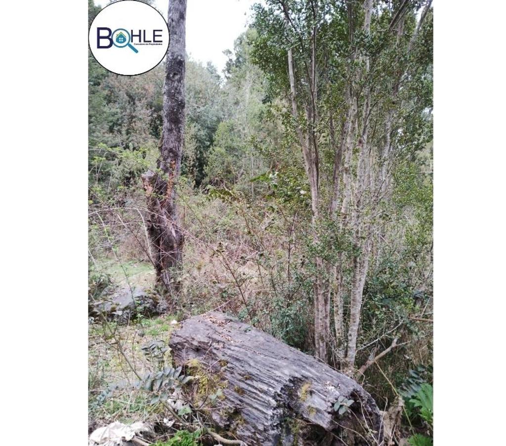 Parcelas en Venta Llanquihue Puerto Varas - Fotos de Parcela de 9326m2 Sector Cumbre Río Pescado, Pto. Varas