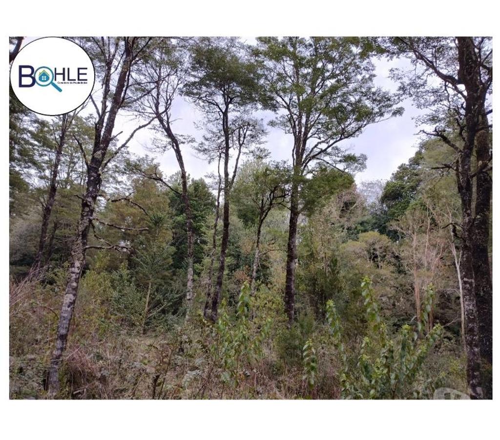 Parcelas en Venta Llanquihue Puerto Varas - Fotos de Parcela de 9326m2 Sector Cumbre Río Pescado, Pto. Varas