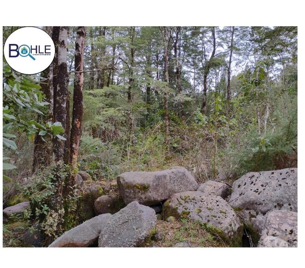 Parcelas en Venta Llanquihue Puerto Varas - Fotos de Parcela de 9326m2 Sector Cumbre Río Pescado, Pto. Varas