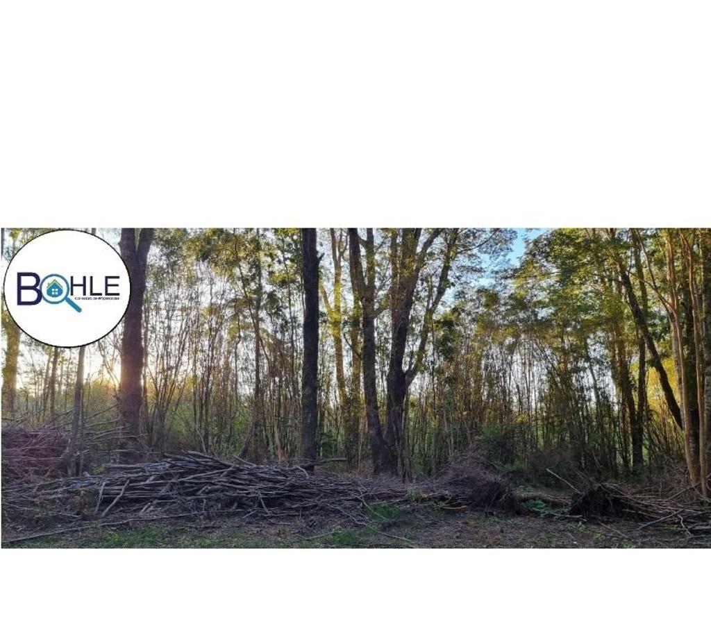 Parcelas en Venta Llanquihue Puerto Varas - Fotos de Hermosa parcela de 5000m2 Camino a Ensenada, Puerto Varas