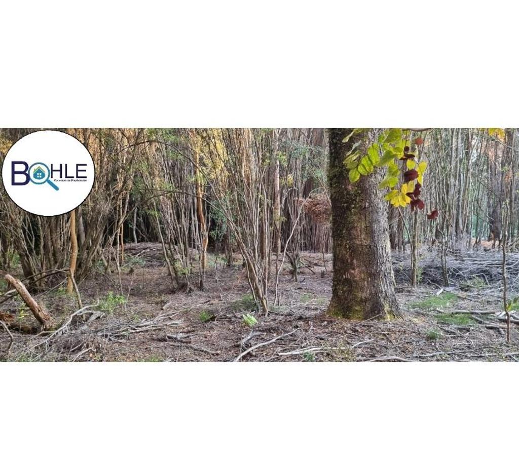 Parcelas en Venta Llanquihue Puerto Varas - Fotos de Hermosa parcela de 5000m2 Camino a Ensenada, Puerto Varas