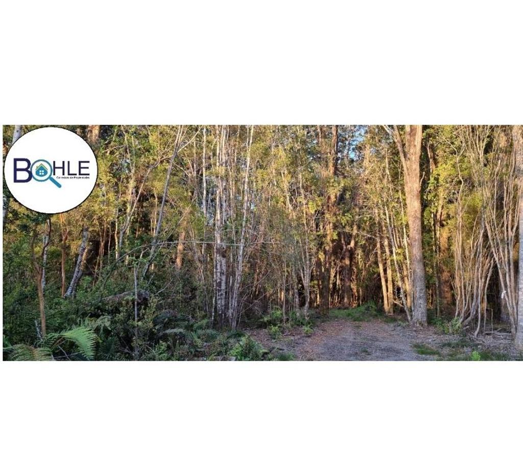 Parcelas en Venta Llanquihue Puerto Varas - Fotos de Hermosa parcela de 5000m2 Camino a Ensenada, Puerto Varas