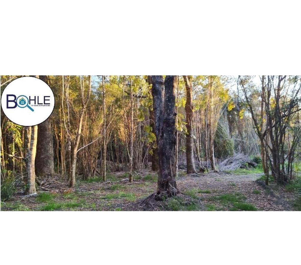Parcelas en Venta Llanquihue Puerto Varas - Fotos de Hermosa parcela de 5000m2 Camino a Ensenada, Puerto Varas