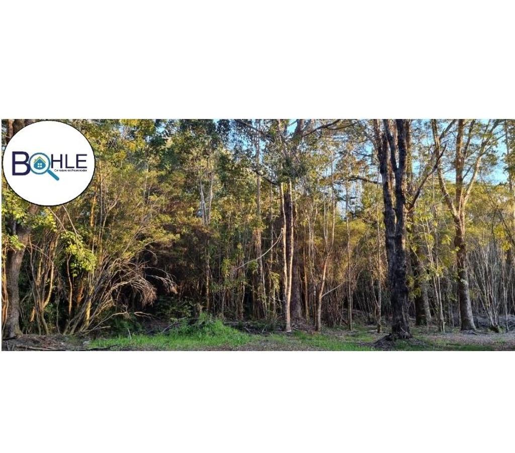 Parcelas en Venta Llanquihue Puerto Varas - Fotos de Hermosa parcela de 5000m2 Camino a Ensenada, Puerto Varas
