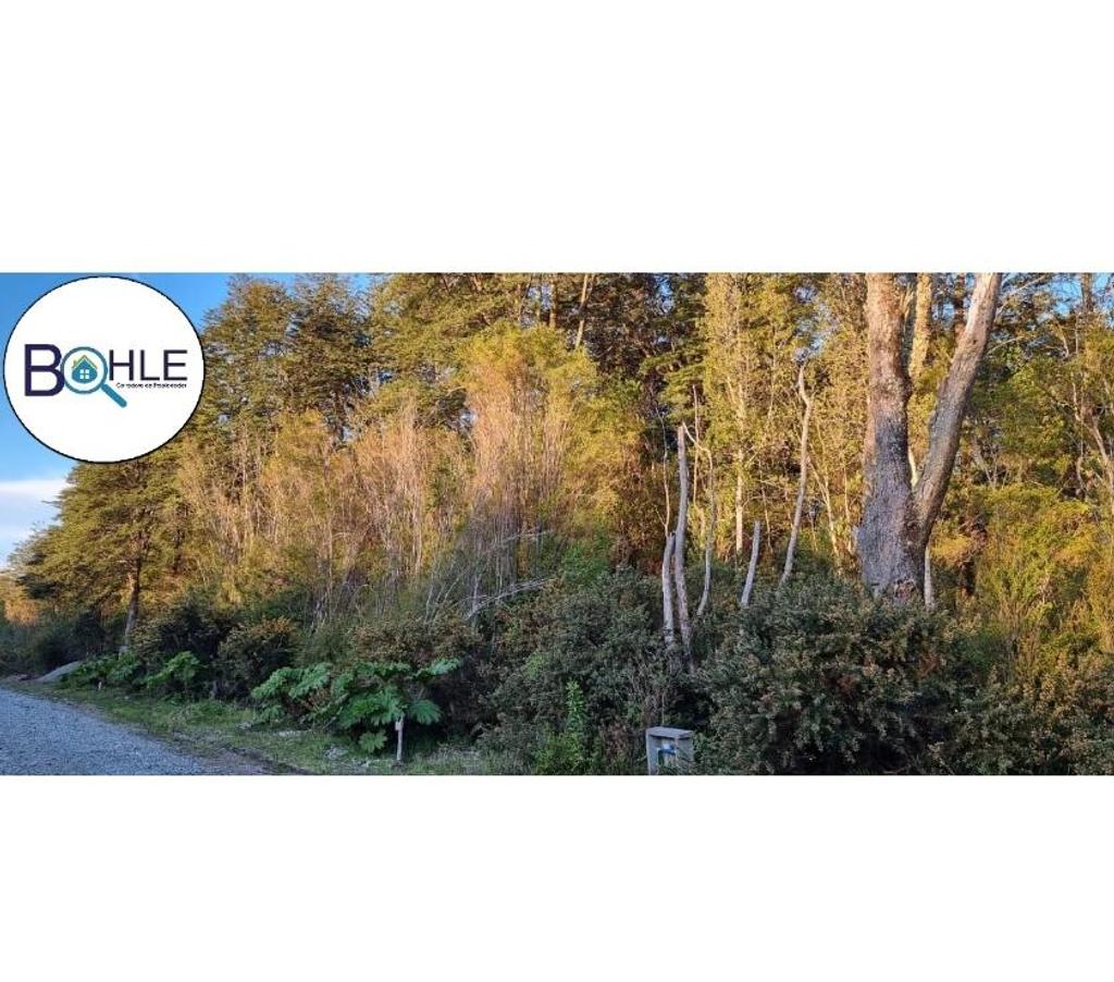 Parcelas en Venta Llanquihue Puerto Varas - Fotos de Hermosa parcela de 5000m2 Camino a Ensenada, Puerto Varas