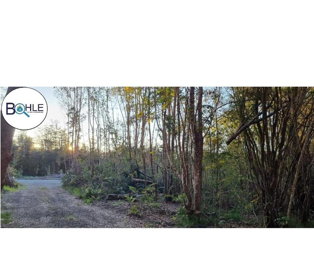 Parcelas en Venta Llanquihue Puerto Varas - Fotos de Hermosa parcela de 5000m2 Camino a Ensenada, Puerto Varas