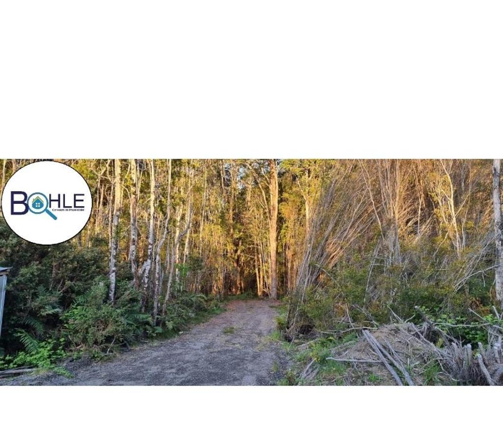 Parcelas en Venta Llanquihue Puerto Varas - Fotos de Hermosa parcela de 5000m2 Camino a Ensenada, Puerto Varas
