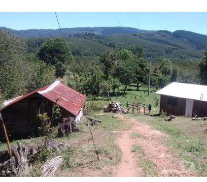 Parcelas Mariquina Valdivia - Fotos de campo de 80 hectáreas en San José de Mariquina
