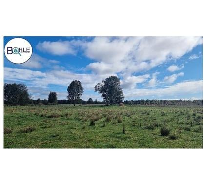 Parcelas en venta Los Muermos Llanquihue - Fotos de VENDO PARCELAS EN LOS MUERMOS