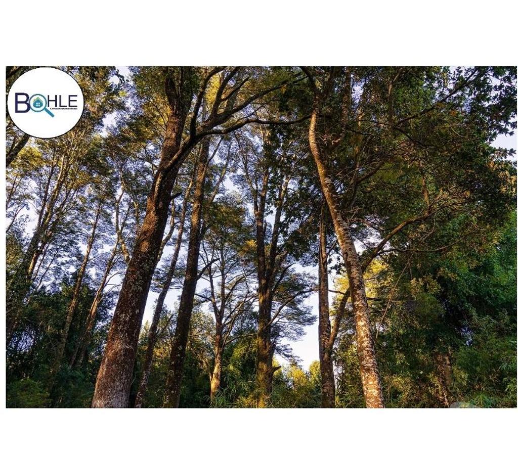 Parcelas en Venta Llanquihue Puerto Varas - Fotos de VENDO – Parcelas Camino a Aeropuerto el Tepual