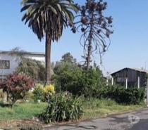 Terreno paño para edificar en altura